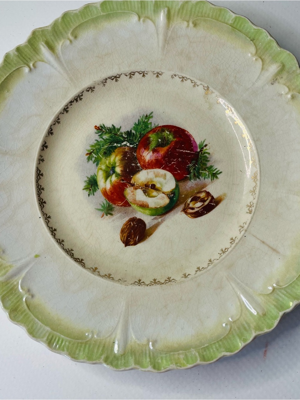 Green-Rimmed Fruit Motif Decorative Dinner Plate